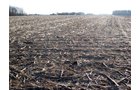 Property photo 6 - 44 Acres Offered in 3 Tracts